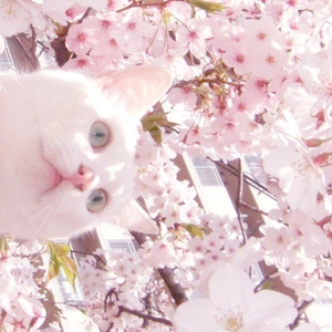 扒开🍑让我进去
